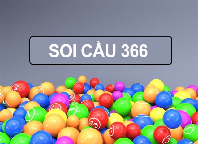 soi cau 366