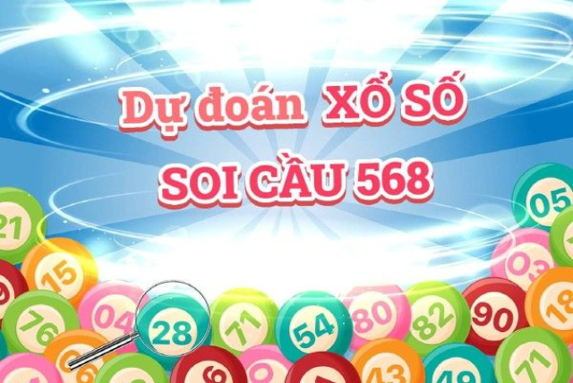 soi cau 568