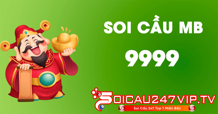 soi cau 9999